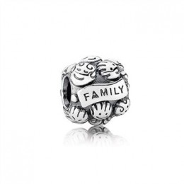 Pandora Jewelry Love & Family Charm 791039