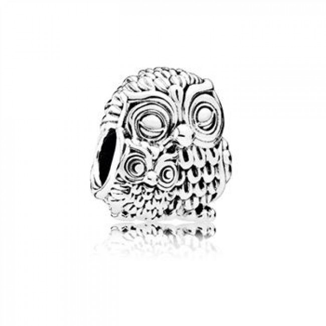 Pandora Jewelry Charming Owls Charm 791966