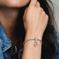 Pandora Jewelry Horseshoe-Clover & Ladybird Dangle Charm Tri-tone 798717C01